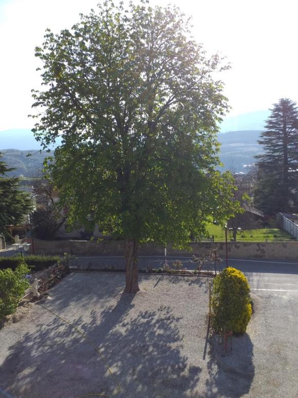 Hotel Villa Mayr Rooms & Suites Bressanone Eksteriør billede